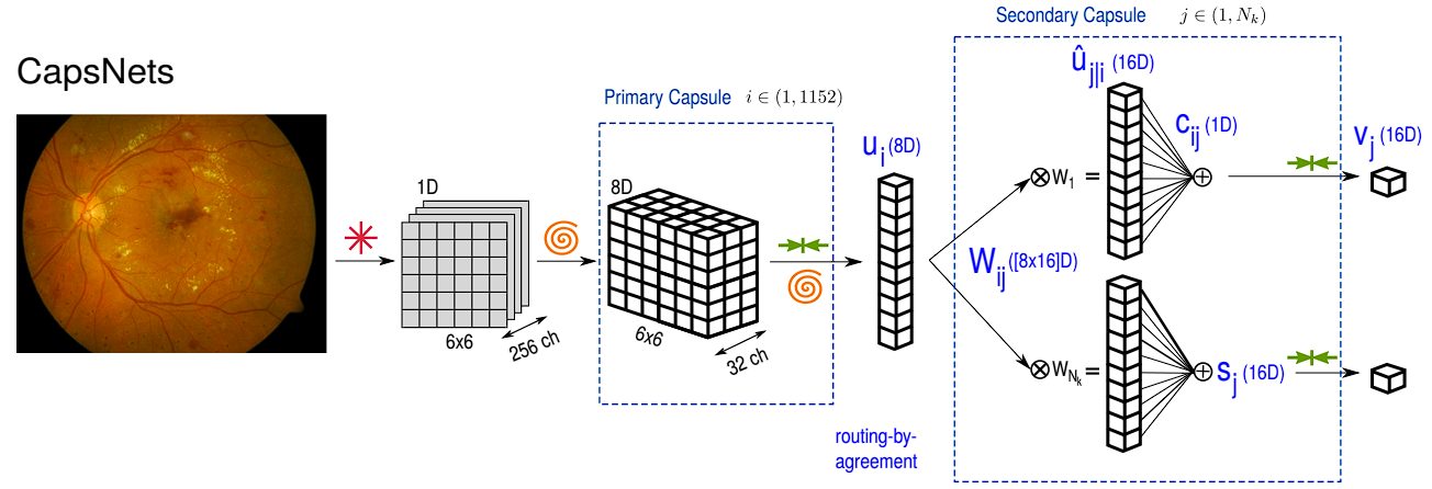 capsule network diagram