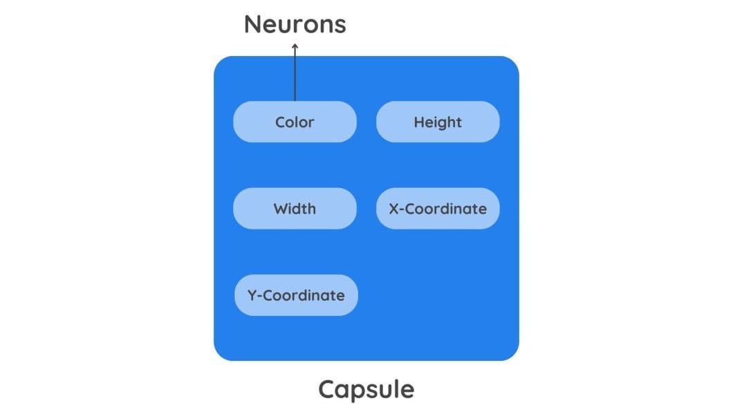 A rectangle showing capsule