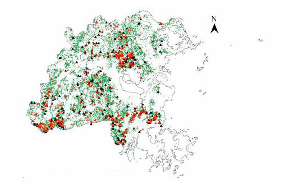 image of Forest carbon storage