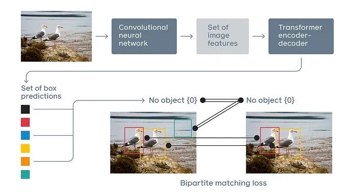 Detection Transformer Schema