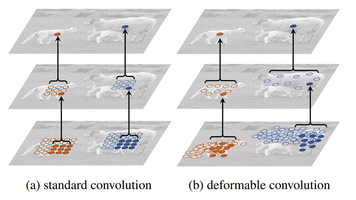 image showing the difference-standard-vs-deformable cnns