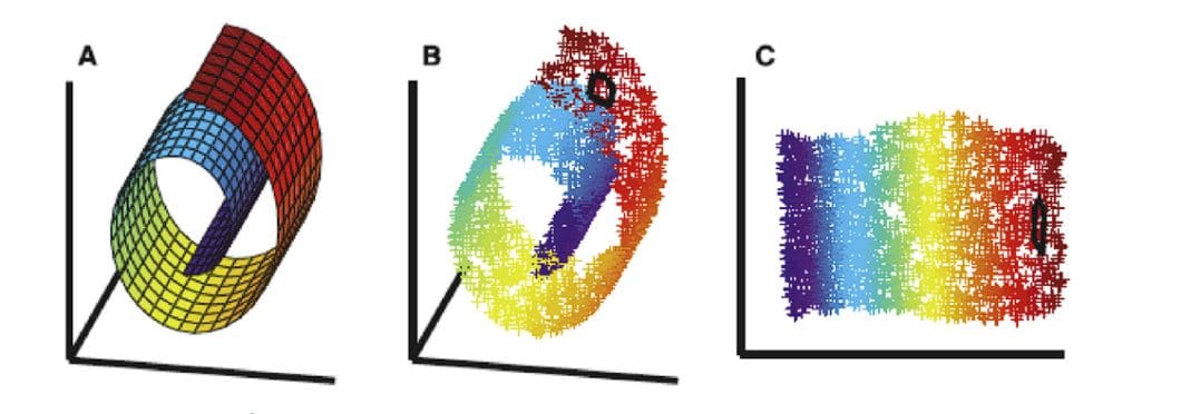 A diagram showing manifold learning, dimensality reduction