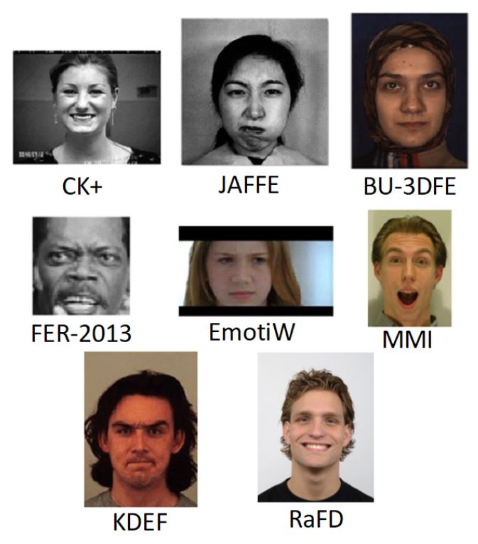 Example images of facial emotion recognition datasets