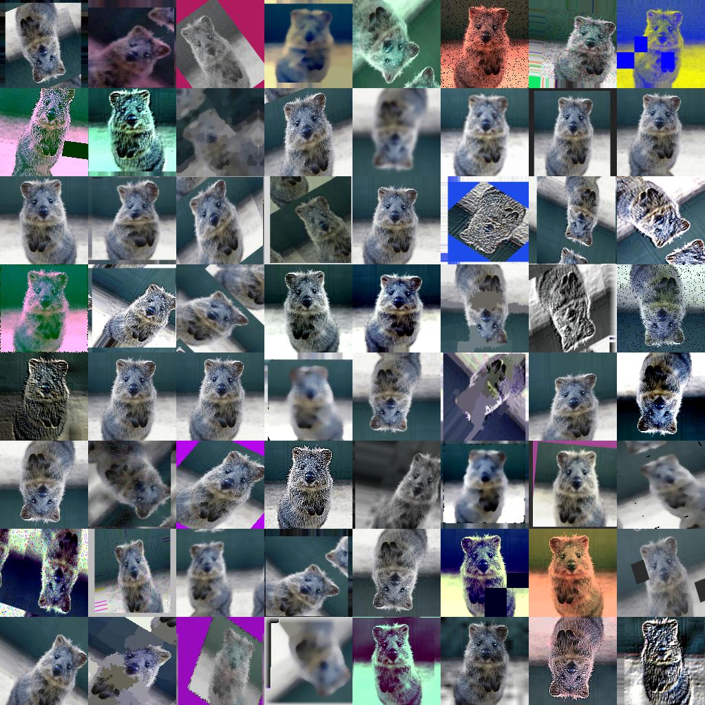 Image data augmentation with imgaug