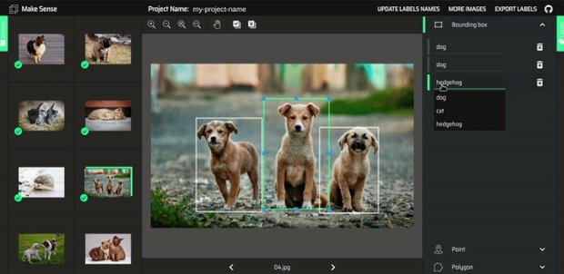 Free Image Annotation Tools - MakeSense