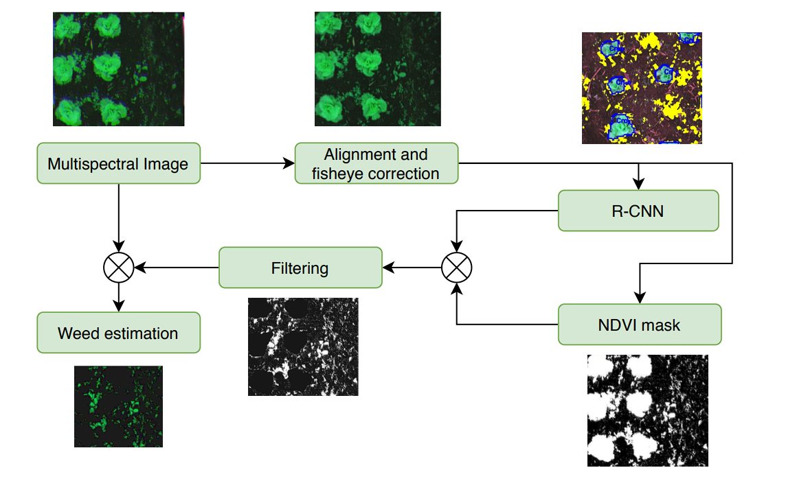 diagram of RCNN segmentation