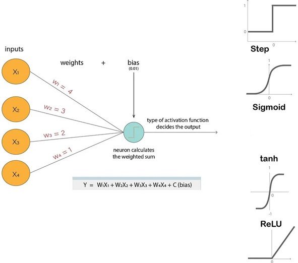 Neural Activation Functions as seen applied in machine learning