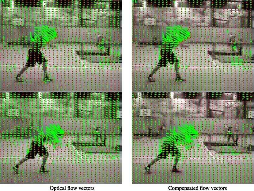 Optical flow field vectors