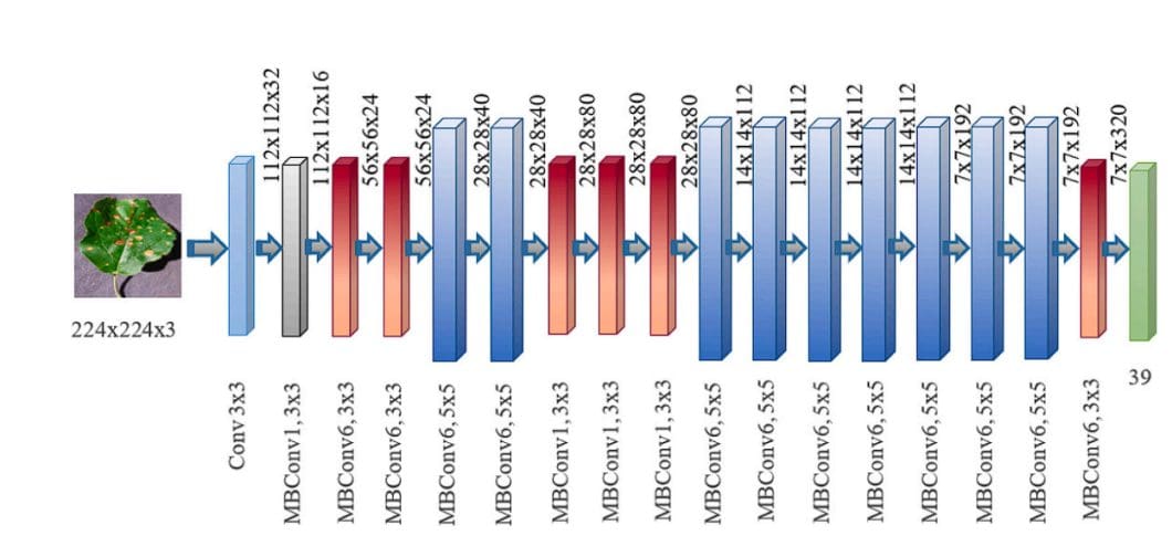 Use of EfficientNet model in plant leaf disease identification.