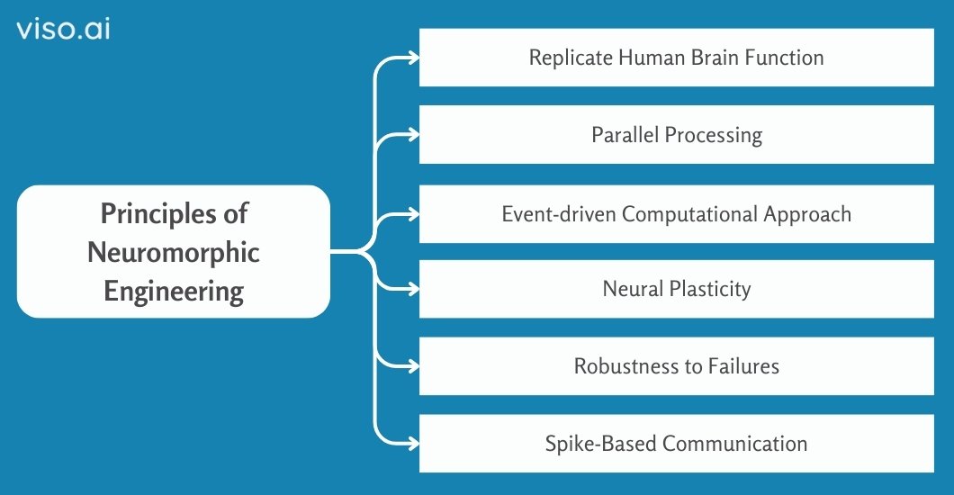 Principles of Neuromorphic Engineering