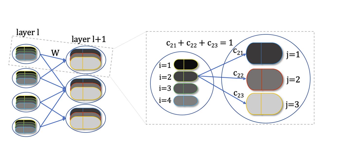 a diagram showing two capsules