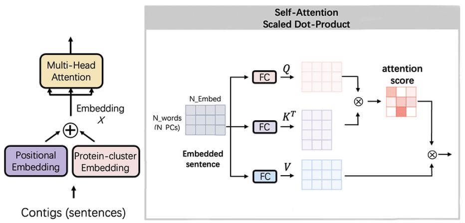 image of self attention