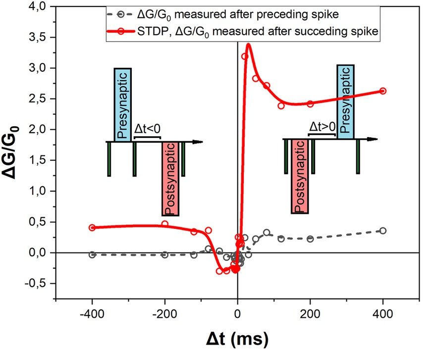 Spike-timing-dependent-plasticity (STDP) Effect