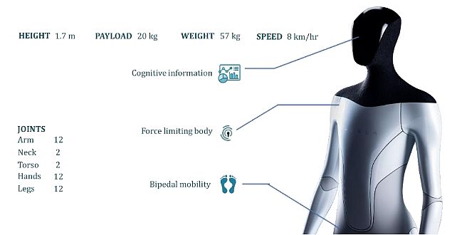 Tesla Bot Specifications