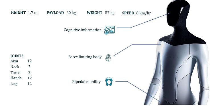 tesla-optimus-specifications