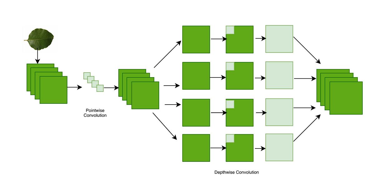 diagram of xception model