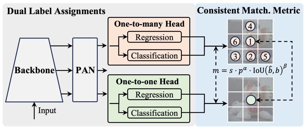 Consistent dual assignments fo YOLOv10