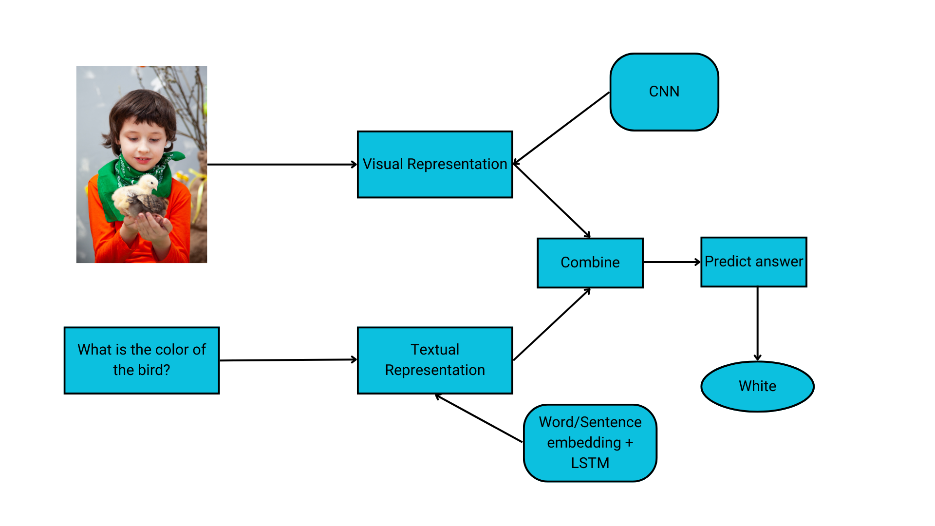 The steps of a common VQA approach