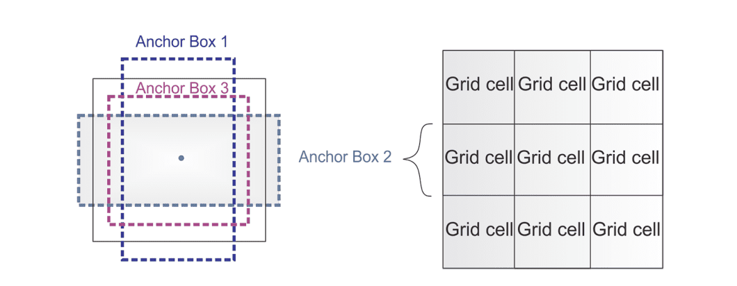 Anchors are predefined bounding boxes used in YOLO models.