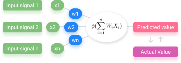 How neural networks learn