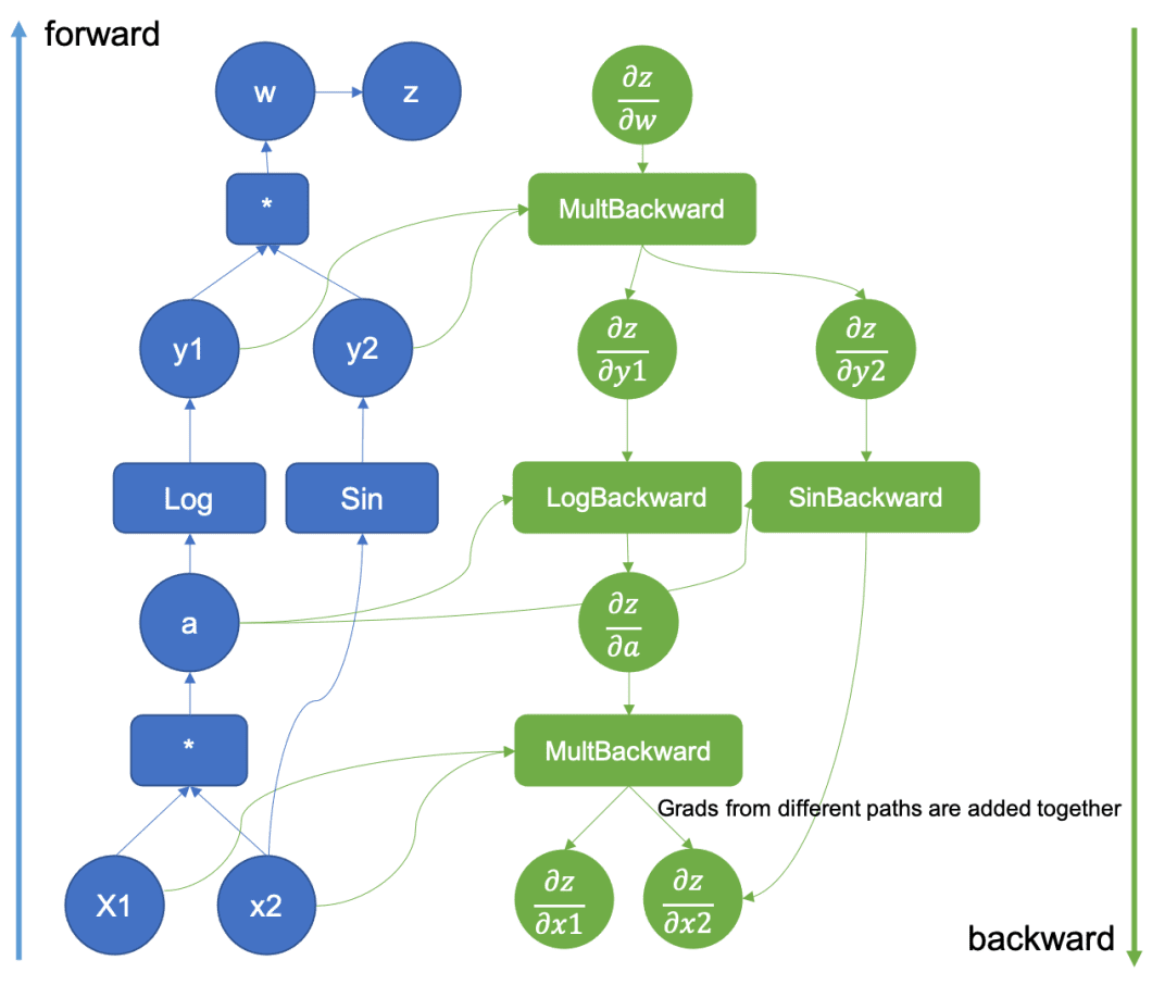 A graphical representation of an augmented computational graph showing forward and backward propagation for neural network training. The forward pass calculates the variable 'z' as a function of inputs 'x1', 'x2', and 'a', using operations like multiplication, logarithm, and sine. The backward pass calculates the gradients of 'z' with respect to 'w', 'y1', 'y2', 'a', 'x1', and 'x2', using derivative functions like MultBackward, LogBackward, and SinBackward.