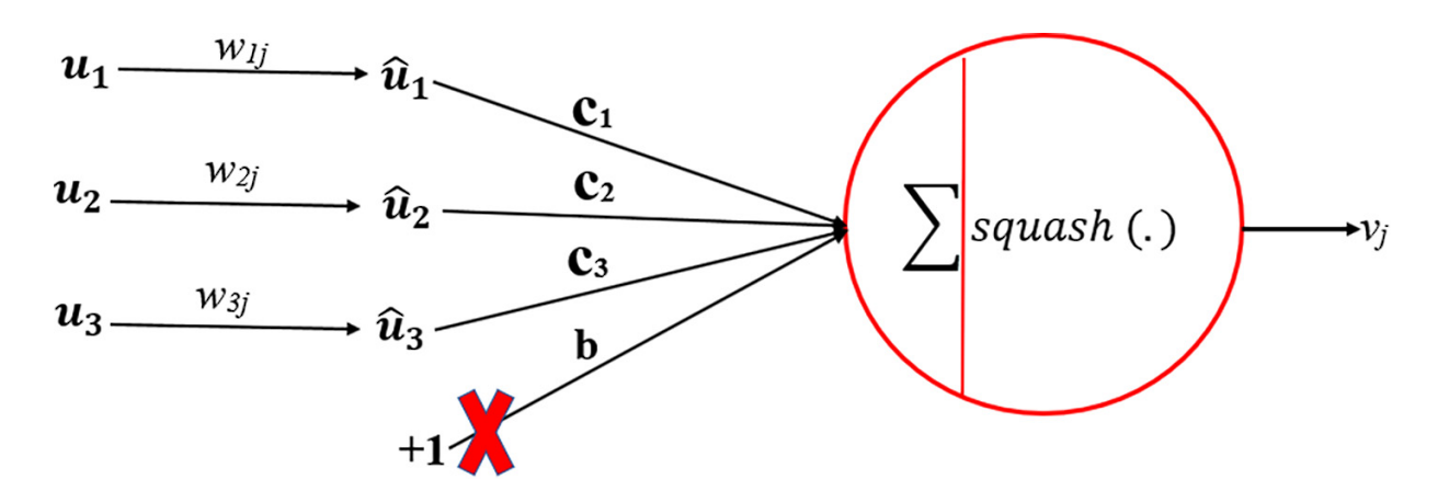 capsule representation