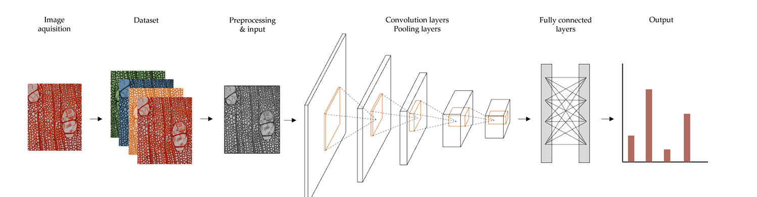 diagram of image classification