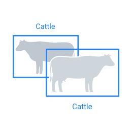 Animal Detection with Computer Vision for Agriculture