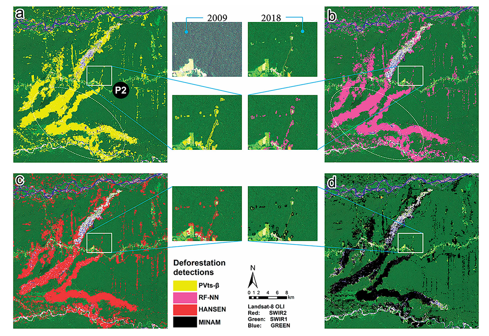 image of deforestation detections