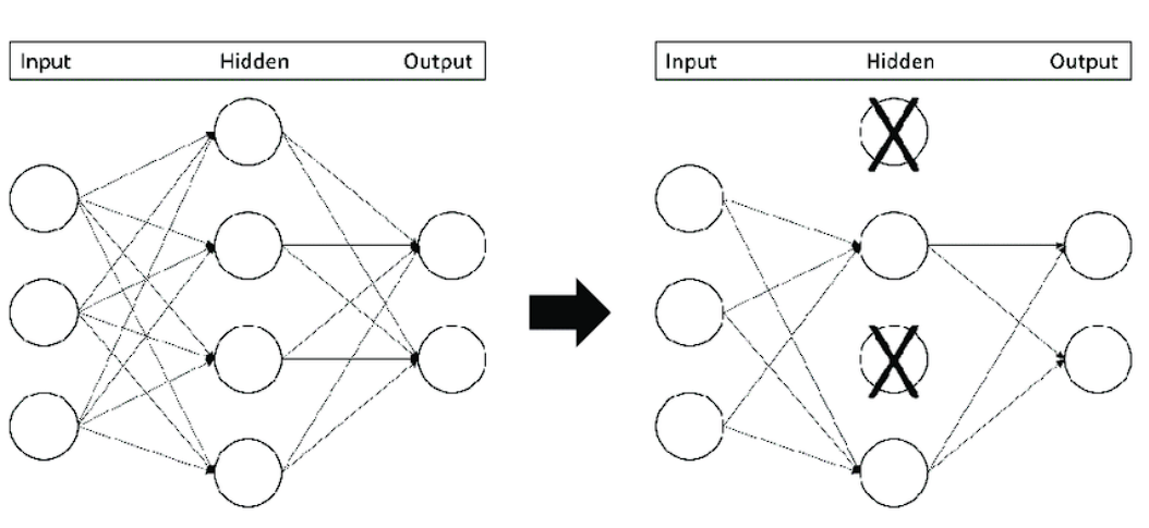 diagram of dropout