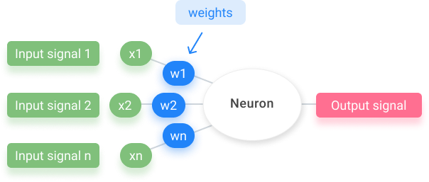 Weights they let the artificial neural networks learn