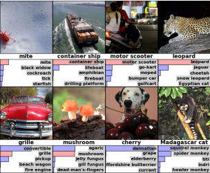 ImageNet 2010 Test Images