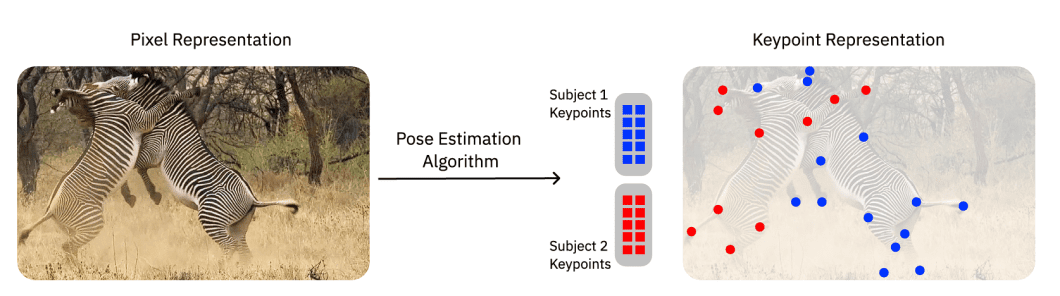 image of markerless motion capturing