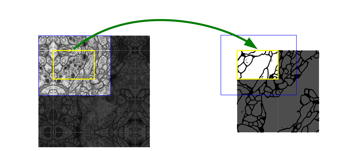 Overlap Tile strategy used in UNet model