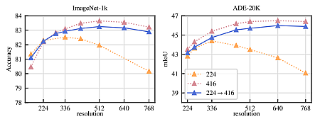 Performance (accuracy) of ViT-L/16 trained on ImageNet-1k at fixed resolution