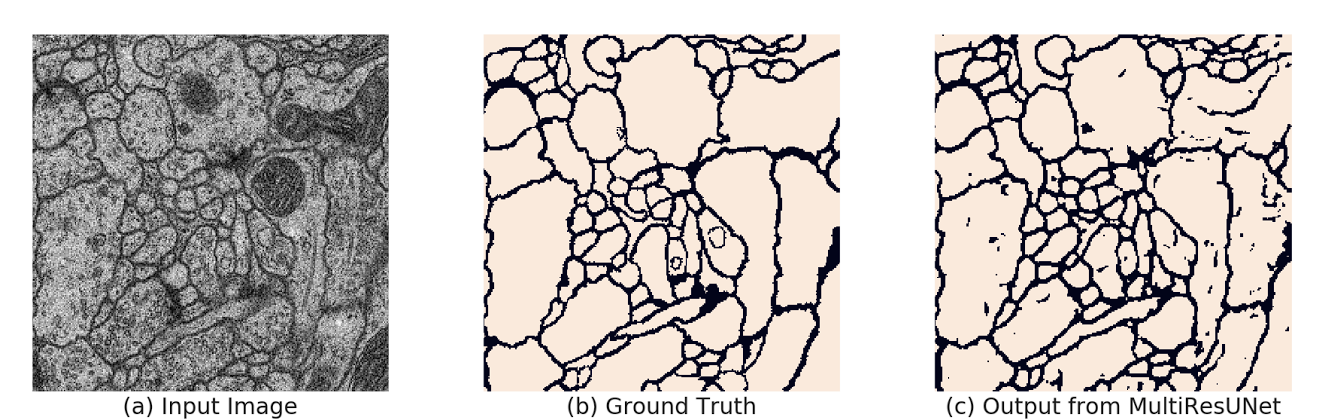 image segmentation vs the input image