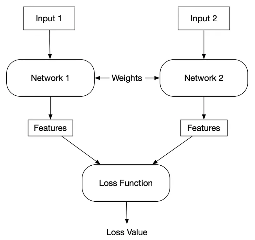 Siamese Network