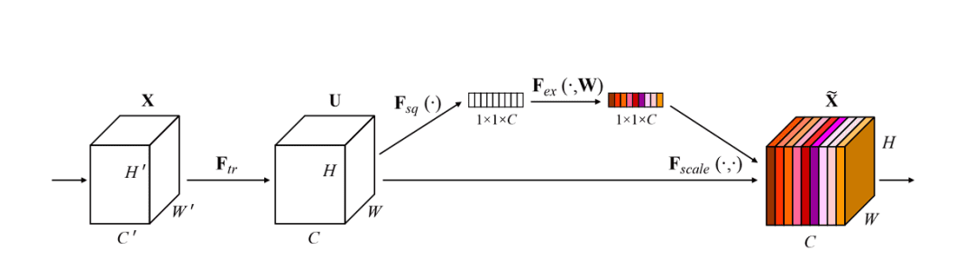 Squueze and excitation block.