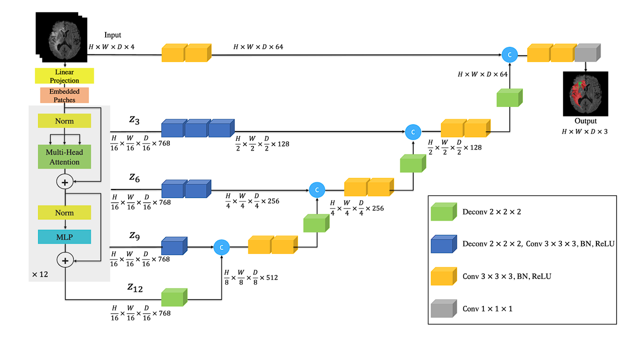 diagram showing the architecture of unetr