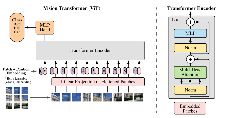 Vision Transformer ViT Architecture