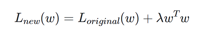 equation of weight decay