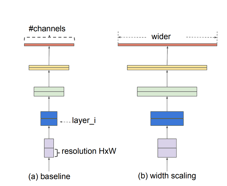 Width Scaling used in EfficientNet